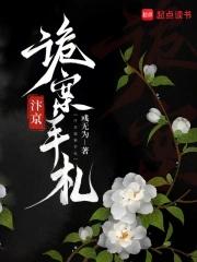 汴京诡案手札简介